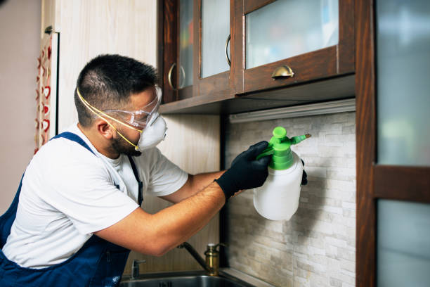 Best Flea Control Services  in Juniper Canyon, OR