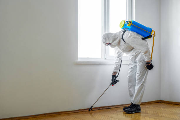 Best Cockroach Control Services  in Juniper Canyon, OR