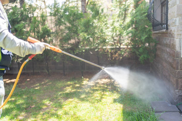 Best Insect Control  in Juniper Canyon, OR