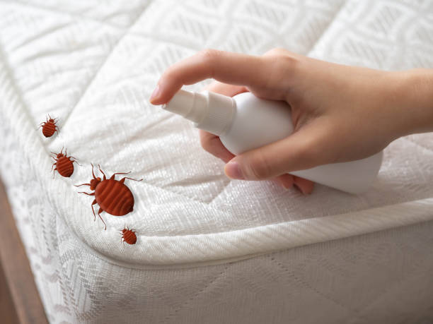 Best Residential Pest Control  in Juniper Canyon, OR