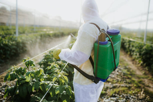 Best Best Pest Control Companies  in Juniper Canyon, OR